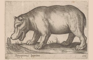 Hippopotimus Hippopotimus/ Ipopotimo (tittel på objekt) Dyr og mytiske skapninger (serietittel) Nova raccolta de li animali piu curiosi del mondo (serietittel) av Antonio Tempesta