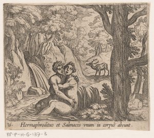 Salmacis og Hermafroditus Hermafroditus og Salmacius forlater som én kropp (tittel på objekt) Metamorfoseon eller transformasjoner (serietittel) Metamorfosen van Ovidius (serietittel) av Antonio Tempesta