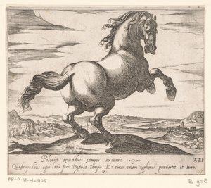 Steigerend paard naar rechts gewend Paarden uit verschiedelden landen (serietittel) Med disse lederne vil du bli feiret som en leder med viroru-munn. av Antonio Tempesta