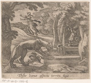 Thisbe vlucht voor the leeuwin av bron Dette er aspektet ved territoriumfugten (tittel på objekt) Metamorfose og transformasjon (serietittel) The Metamorphoses of Ovid (serietittel) av Antonio Tempesta