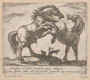Twee parende paarden Paarden uit verschiedelden landen (serietittel) Med disse lederne vil du bli feiret som en leder med viroru-munn.