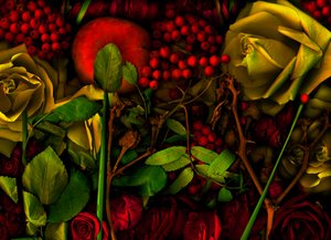 05 magisk hage nr. 36, 2011 (bilde) av Antonius Antonius