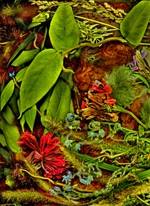 Anderswelten nr. 2, 2025 (bilde) av Antonius Antonius