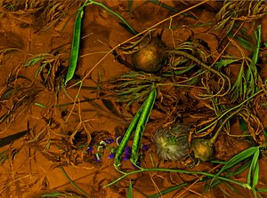 Earthart nr. 2, 2014 (foto) av Antonius Antonius