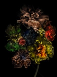 Blomster 13-1, 2025 (bilde) av Antonius Antonius