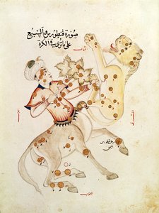 Ms 5036 fol.238 The constellations of Centaurus and Leo, fra Treatise on the Fixed Stars av Abd-al-Rahman Al Sufi (903-986)