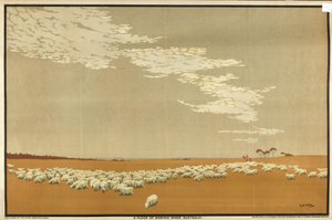 A Flock of Merino Sheep - Australia, fra serien 'Australia's Wealth of Wheat and Wool' (farge litho)