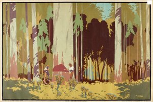 Felling a Karri Tree, Western Australia, fra serien 'Australia's Wealth of Wheat and Wool'