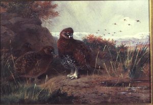 Ryper i et vinterlandskap av Archibald Thorburn