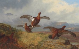 Ryper i flukt av Archibald Thorburn