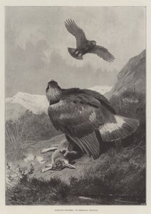 Highland Poachers av Archibald Thorburn