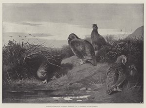 Idrettsfag, Daggry den tolvte av Archibald Thorburn