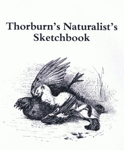 Tittelside (Stoat og Gamebird), pub. av Book Club Associates av Archibald Thorburn