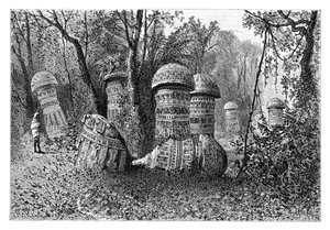 Ruinene av et Ahom-tempel, Dinajpur, Upper Assam, India, 1895.