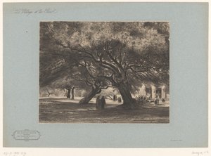 Eiketrær ved kirken Cimiez Les Chênes verts de Cimiés, Nice (tittel på objekt) Landskap med landsbyer og skog (serietittel) Le village et les bois (serietittel på objekt) av Armand Theophile Cassagne