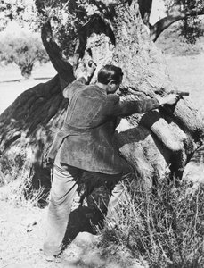 Salvatore Giuliano peker en pistol, 1937