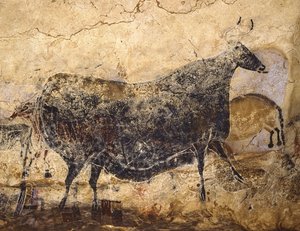 Svart ku. Hulemaleri av Lascaux, ca 16.000-15.000 f.Kr. av Art of the Upper Paleolithic.