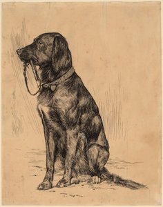 Aldrichs hund av Arthur B. Davies