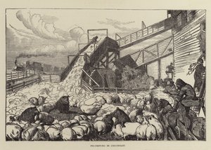 Grisekjøring i Cincinnati