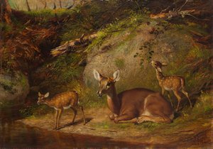 Doe and Two Fawns, 1882.