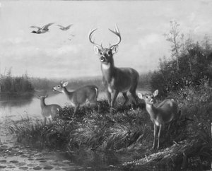 On the Qui Vive, Buck and Three Does, 1871. av Arthur Fitzwilliam Tait