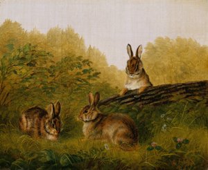 Kaniner på en tømmerstokk, 1897.