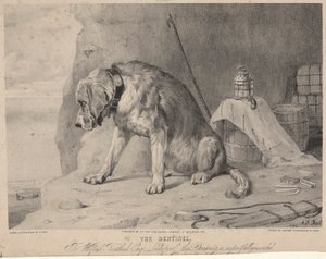 Sentinelen av Arthur Fitzwilliam Tait