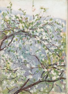 Blossom, ca. 1900