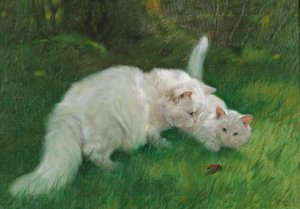  av Arthur Heyer