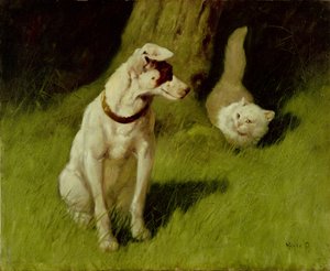White Persian Cat og Jack Russell