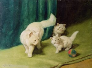 Hvit perserkatt med to kattunger