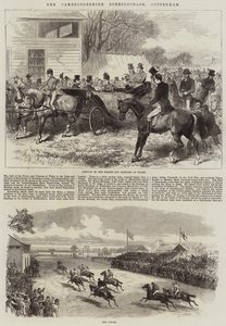 Cambridgeshire hindring, Cottenham