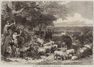 Forsvaret av Paris, storfe og sauer i Bois de Boulogne