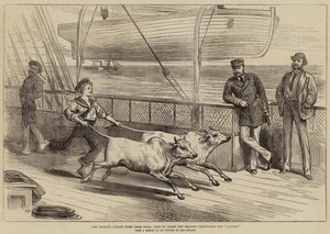 Prinsens reise hjem fra India, livet om bord på Serapis, trener Gainees av Arthur Hopkins