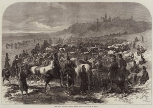 The War, fanget franske hester etter slaget ved Sedan