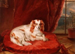 En Cavalier King Charles Spaniel ligger på en rød pute av Arthur J. Stark