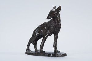 Alert Coyote (bronse)