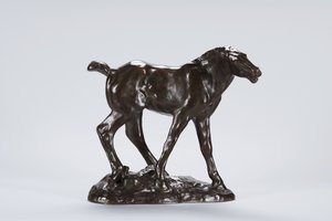 Colt (bronse)