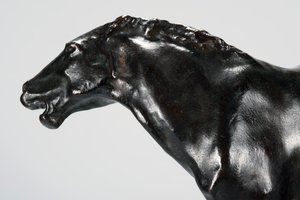 Colt (bronse)