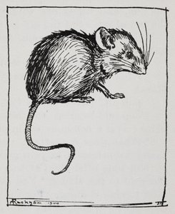 En mus av Arthur Rackham