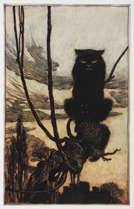 Illustrasjon fra Jorinda og Joringel av en svart katt. av Arthur Rackham