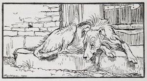 Illustrasjon fra Old Sultan of a Dog. av Arthur Rackham