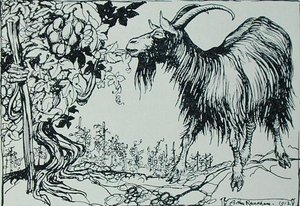The Goat and the Vine, illustrasjon fra 