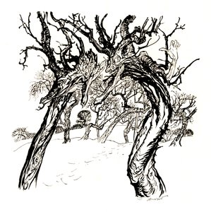 Hviskende trær, fra en tallerken med epler, 1917, 1923 av Arthur Rackham