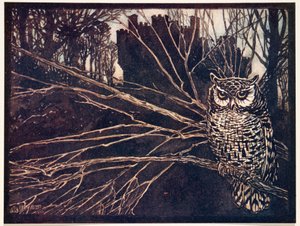 ? eller en skrikugle.., fra The Fairy Tales of the Brothers Grimm, pub. 1909 av Arthur Rackham