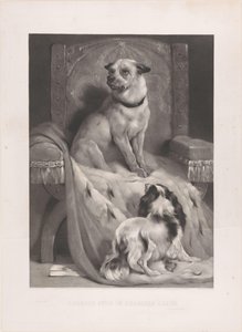 Hond op een hermelijnen mantel op een troon Geordie sits in Charlies chair (title on object)   1364605   no       norwegian Successfully Translated  Original: The Visitation, from The Life of the Virgin Translat: The Visitation, from The Life of the Virgin av Arthur Turrell