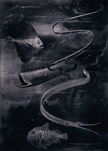Dyphavsfisk (litho) av Arthur Twidle