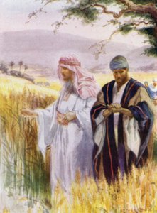 Jesus og disiplene hans i kornåkeren (farge litho)