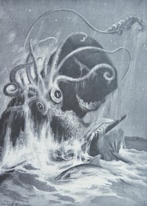 Kraken mot Sperm Whales