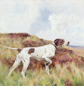 En peker (olje om bord) av Arthur Wardle